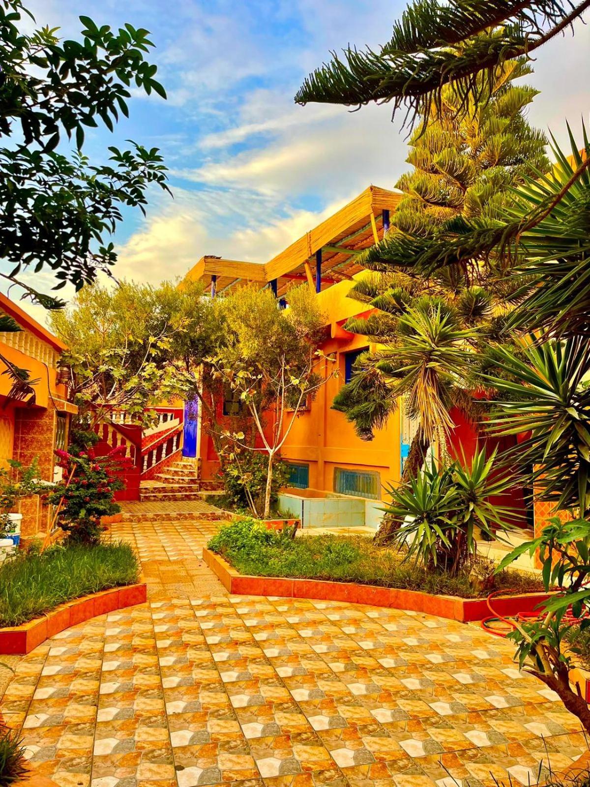 Surf & Salsa Ocean House Bed & Breakfast Tamraght Luaran gambar