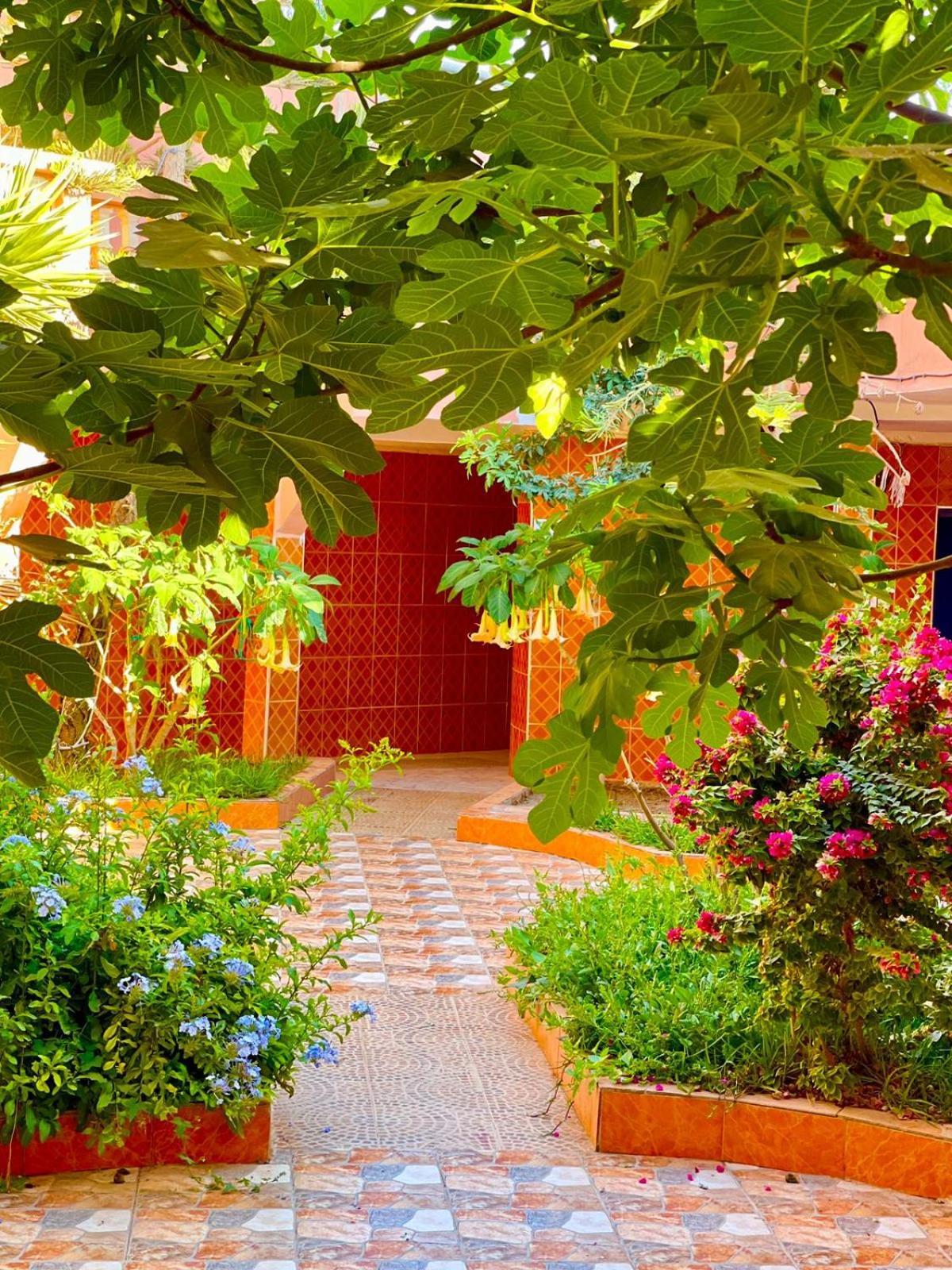 Surf & Salsa Ocean House Bed & Breakfast Tamraght Luaran gambar