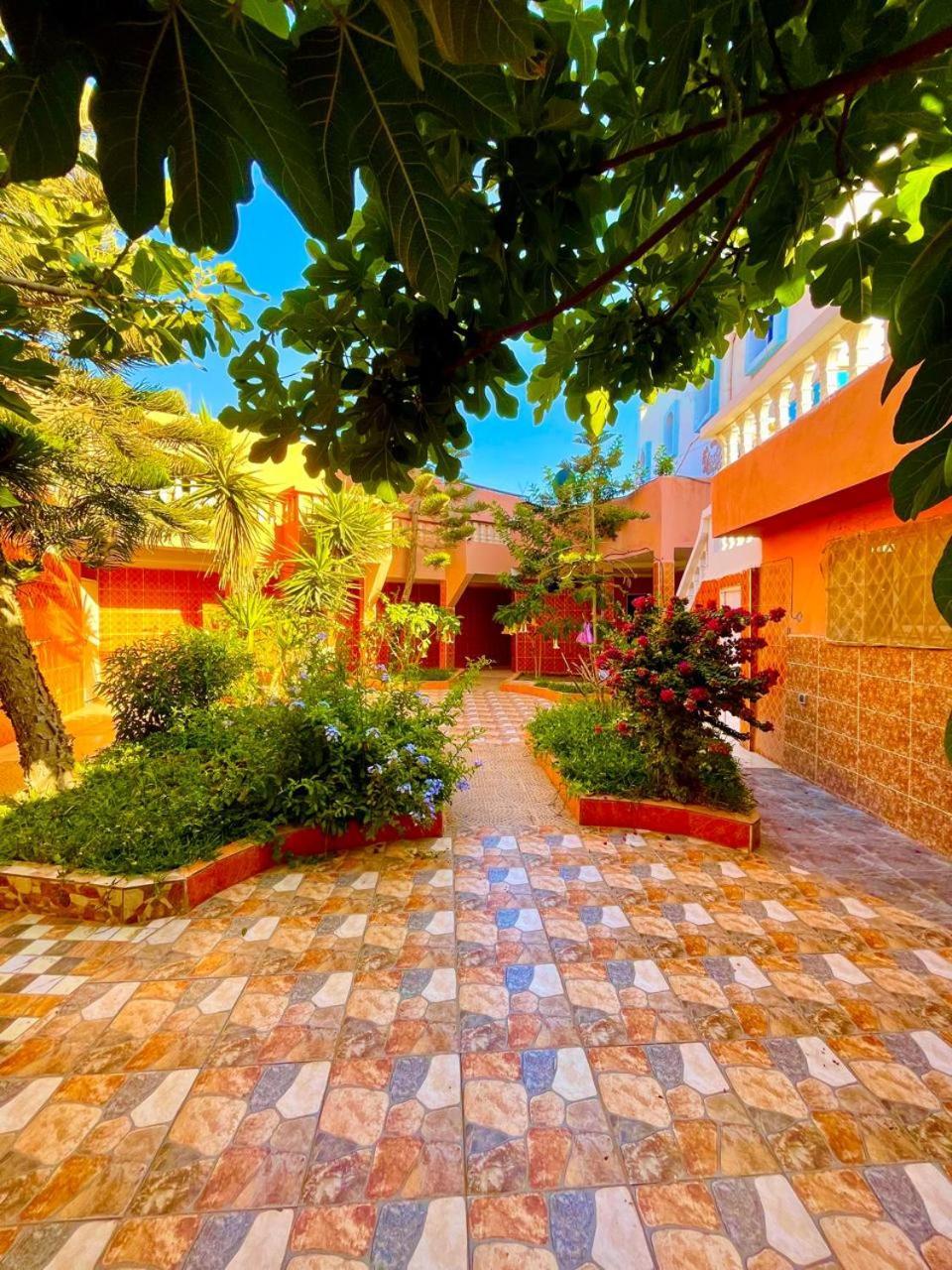 Surf & Salsa Ocean House Bed & Breakfast Tamraght Luaran gambar