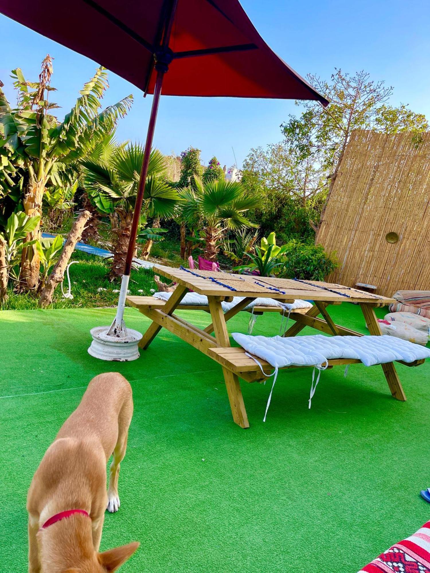 Surf & Salsa Ocean House Bed & Breakfast Tamraght Luaran gambar
